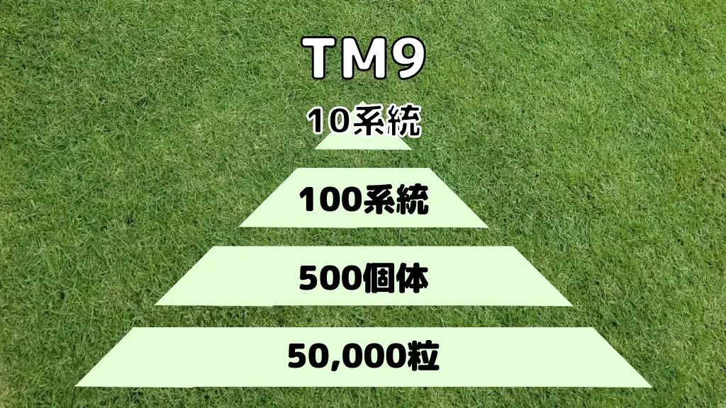 TM9-精鋭